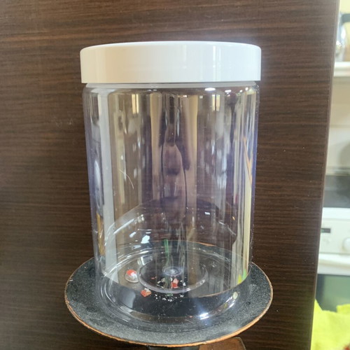 Transparent plastic storage jars PET 700 ml food safe