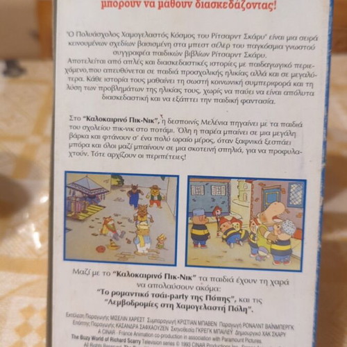 Summer Picnic VHS tape used