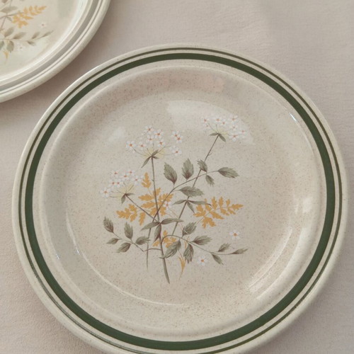 Royal Doulton Will O'The Wisp vintage plates set of 2, 17cm