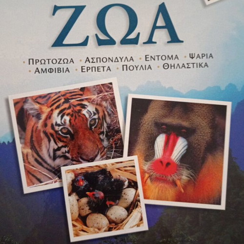 Illustrated Encyclopedia Ta Zoa by Savvalas, new