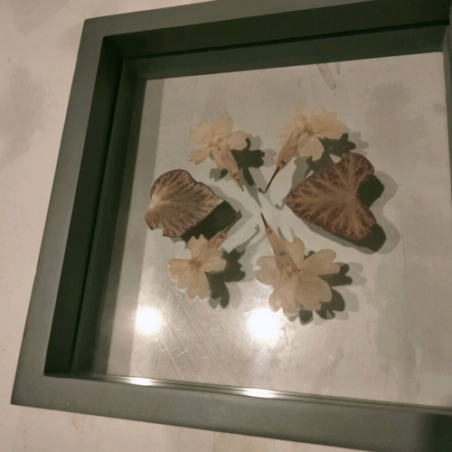 Transparent frame with dried leaves and flowers like new