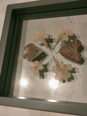 Transparent frame with dried leaves and flowers like new