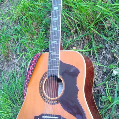 ECO Italia 12-String Guitar like new with decorated strap
