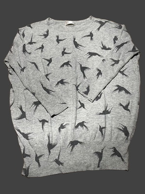 Thin gray sweater used with dark hummingbird print