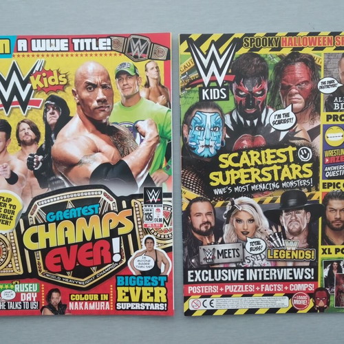 WWE Kids Magazines Bundle 10 Issues 2018 with Posters