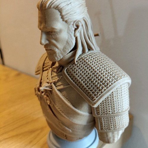 Geralt of Rivia 3d Printed Bust New