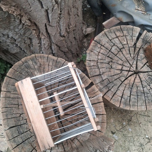 10 wooden cages and 3 traps and 1 iron