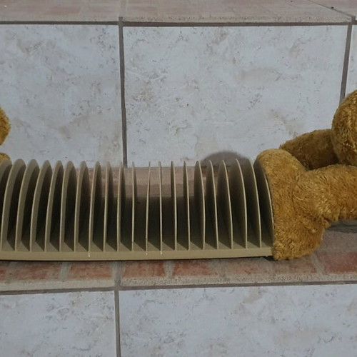 Bear case used, missing one eye