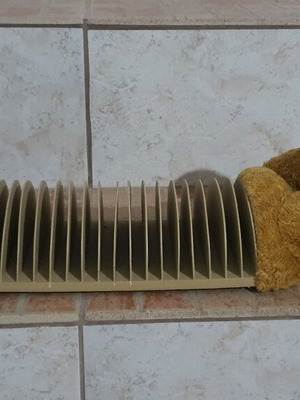 Bear case used, missing one eye