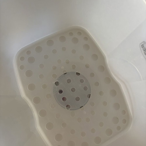 Chicco electric baby bottle sterilizer with 6 slots
