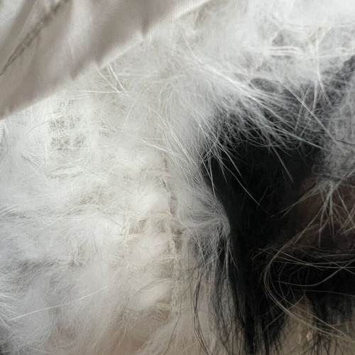Real fox fur white coat with real fox black scarf, like new, size S