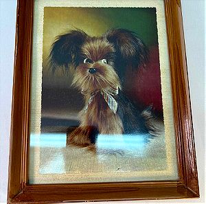 Ξύλινο κάδρο με εκτύπωση σκυλάκι Γιορκσάιρ 26x20 cm