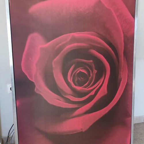 IKEA wall art rose theme used, 100x140 cm