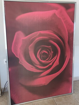 IKEA wall art rose theme used, 100x140 cm