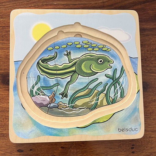 Belsduc 5-Layer Frog Wooden Educational Puzzle Montessori