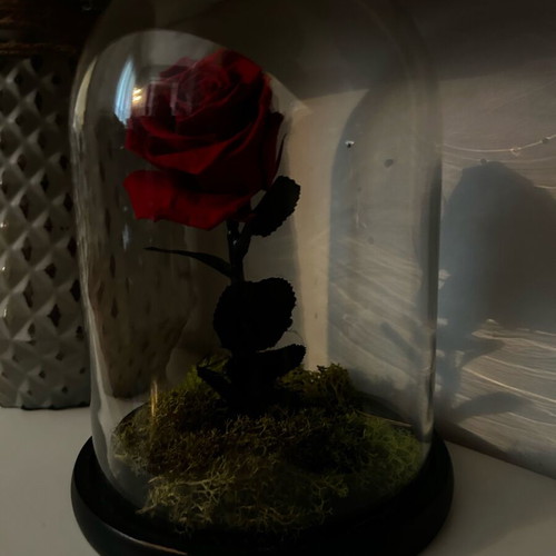 Forever Flower 26cm like new