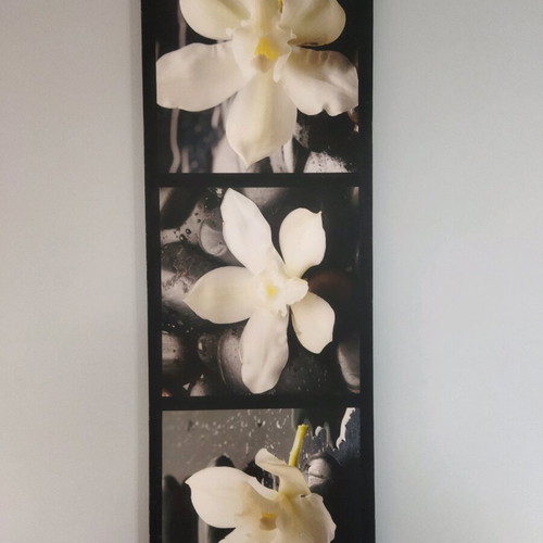 Canvas with water lilies used