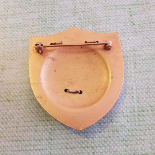 Navsouth NATO rare metal badge like new