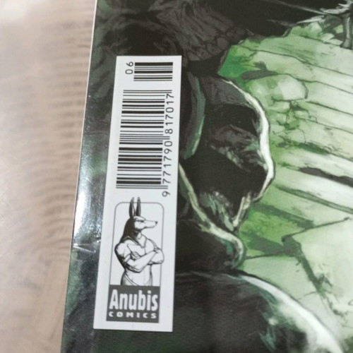 Fantasy Heroes comics volume 6 issues 11,12 used