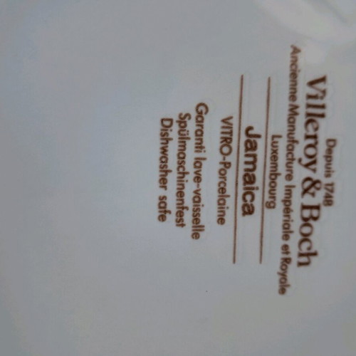 Large Vitro Porcelaine Plate 26 cm new