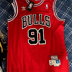 Dennis Rodman Vintage NBA Jersey Chicago Bulls Red/Large