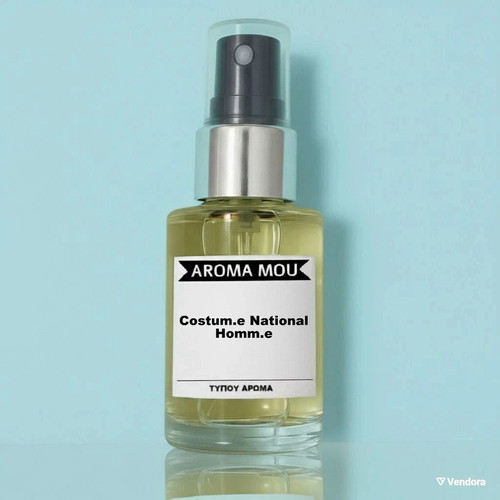 Costume National Homme 30ml Eau de Parfum new, woody aromatic scent