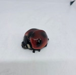 Paperweight ladybug used