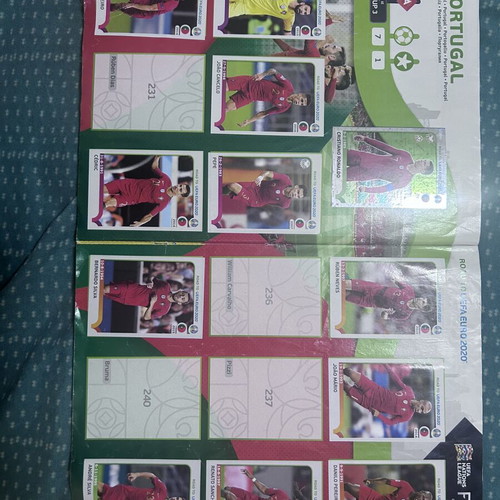 Panini Official Album Euro 2020 used with 317 of 476 stickers