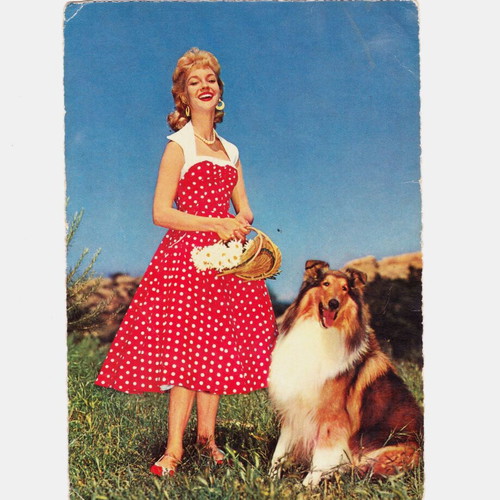 Girl with a collie dog postcard by AFKH Arthur F. Krueger used, vintage German