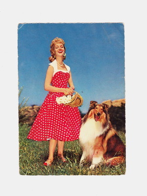 Girl with a collie dog postcard by AFKH Arthur F. Krueger used, vintage German