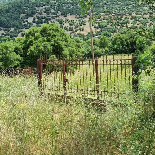 Land plot 3.5 acres in Parnassos with stunning view