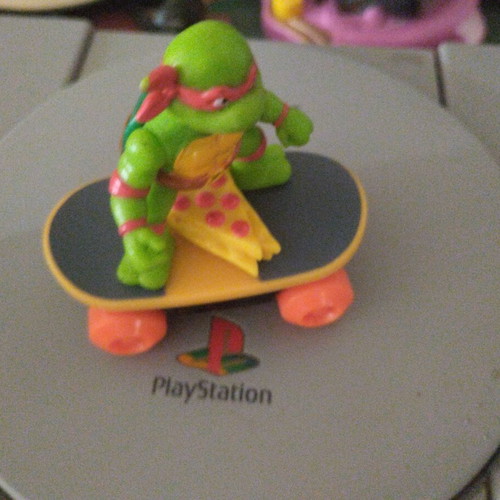 Turtlepower skate used