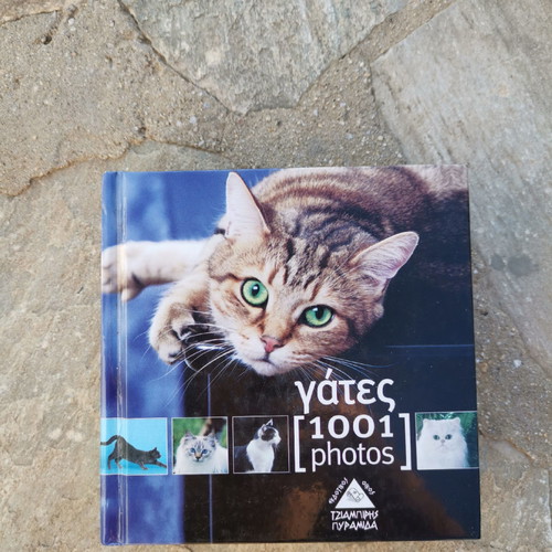 Book 1001 Cats without damage