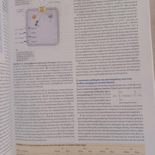 Basic Principles of Biochemistry like new