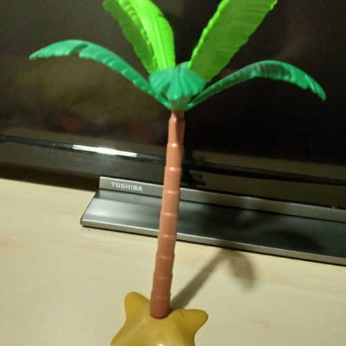 Playmobil used