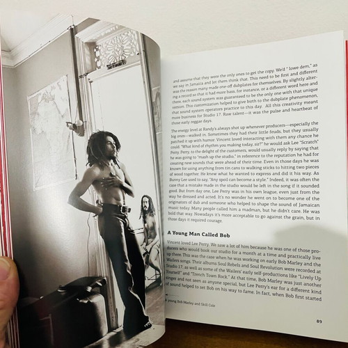 My Reggae Music Journey by Miss Pat, new English edition
