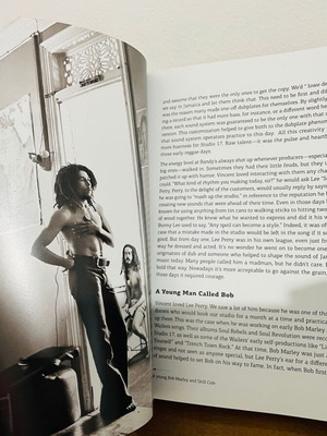 My Reggae Music Journey by Miss Pat, new English edition