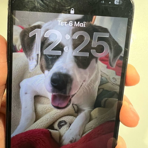 I phone used, gray, in very good condition