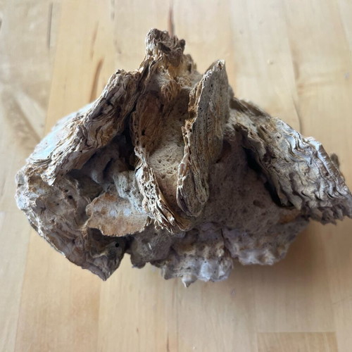 Avia Messinia fossil cluster refurbished