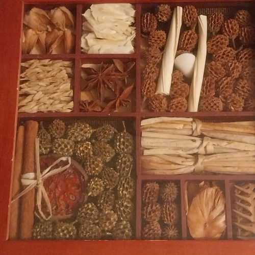 Frames with dried decorations, set of 4, like new