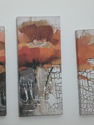 Triptych canvases like new, one 45x20cm and two 40x20cm