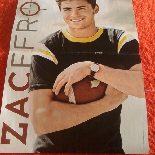 Zac Efron & Linkin Park poster like new, size 41.5x28