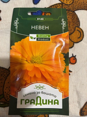 Семена невен нови, 1 грам, градина