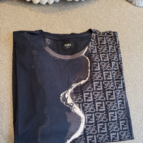 Fendi Roma T-shirt used, size L, cotton, black-brown