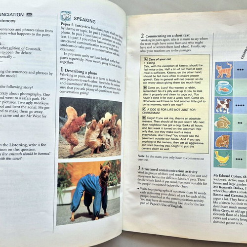 Think First Certificate English learning book