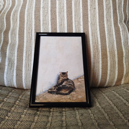 Mediterranean print with tabby cat, black frame 10x15