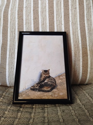 Mediterranean print with tabby cat, black frame 10x15