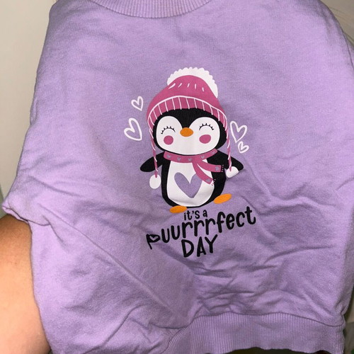 Baby clothing set 9-12 months like new, purple color