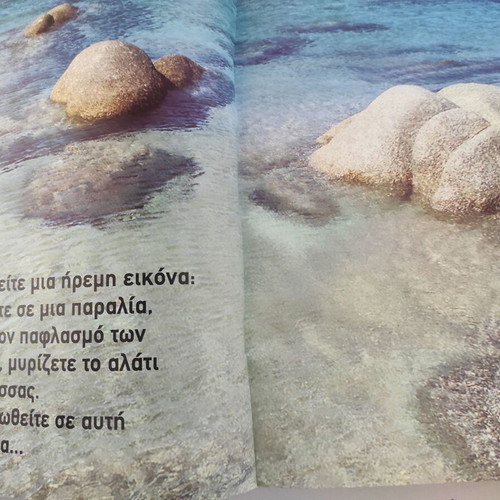The Body Shop The Book of Wellness used, Greek