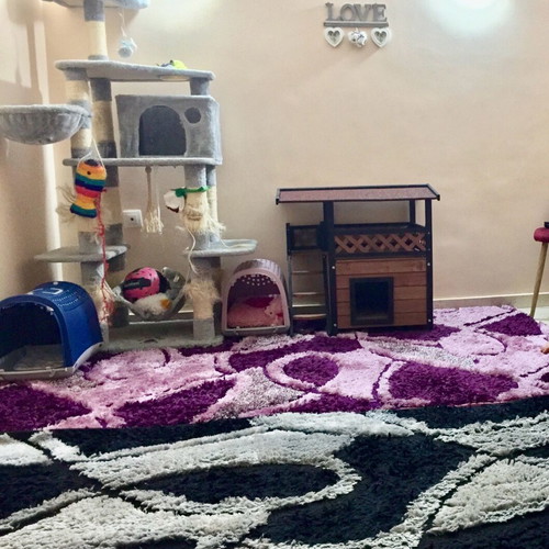 Shaggy rugs used in two colors 200x250 and 170x240